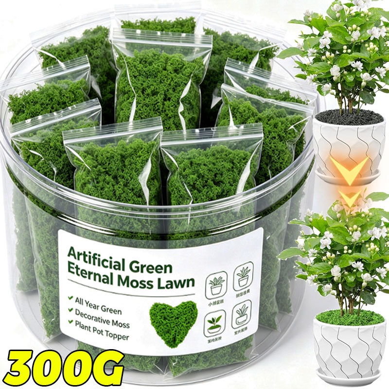 Terrarium Moss Art - Yapay Yeşil Bitkiler Sonsuz Yaşam Yosunu