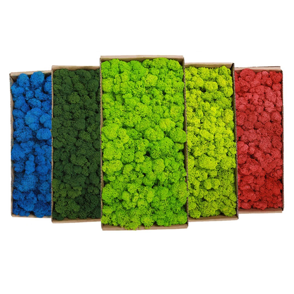 20-200g Yapay Yeşil Bitkiler S - Terrarium Moss Art incelemesi ve fiyatı