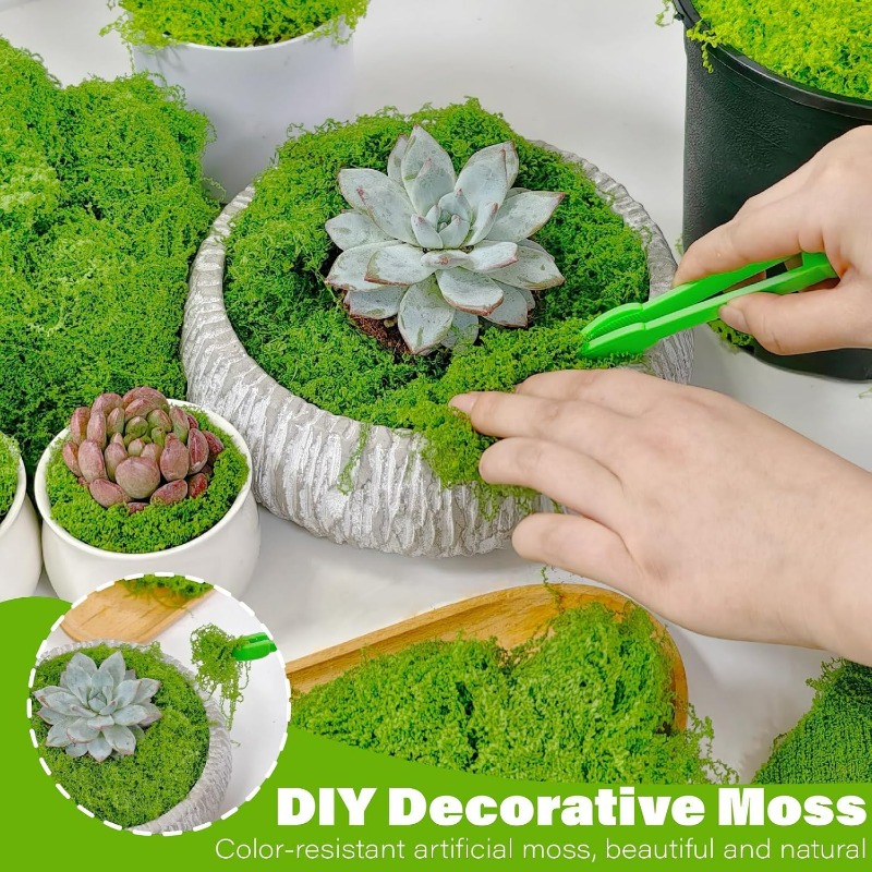 Yapay Yeşil Bitkiler Sonsuz Ya - Terrarium Moss Art incelemesi ve fiyatı